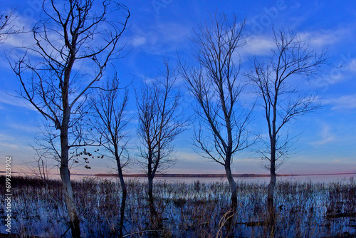 High Lake level floods deciduous trees and lakeshore, Lake Lowell, Nampa, Idaho.
