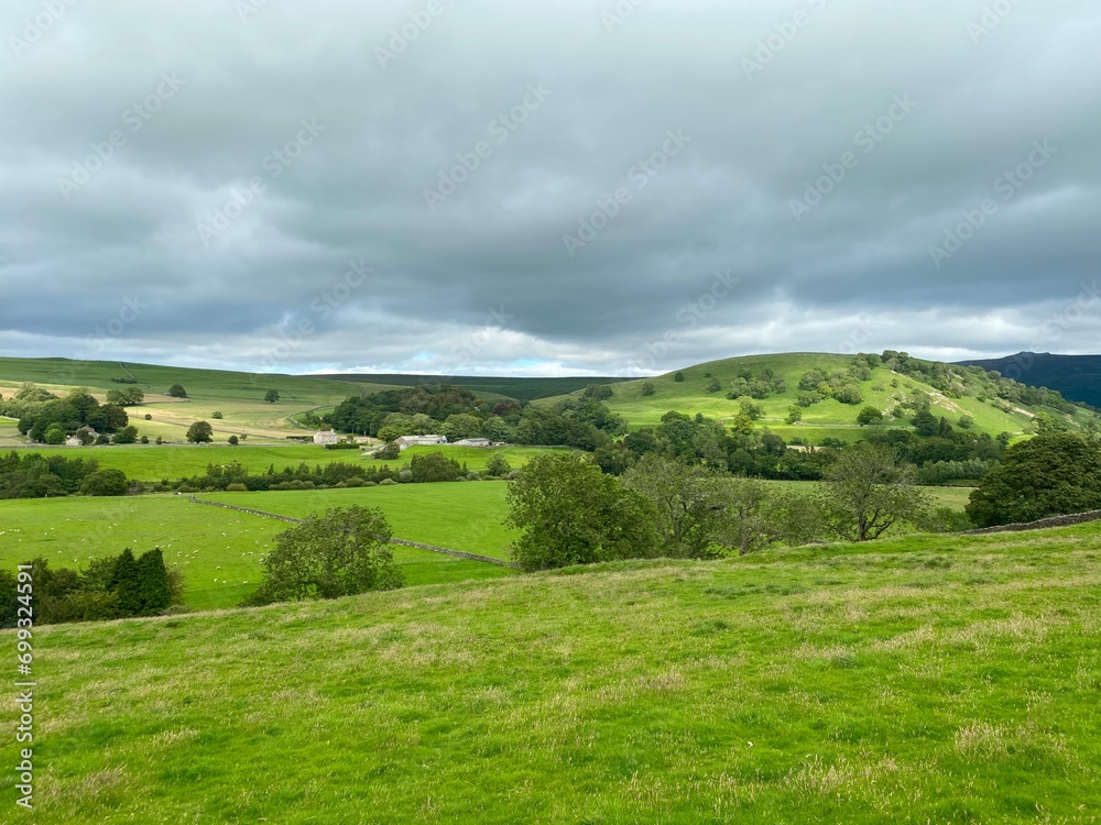 Yorkshire rural scene, with fields, wild plants, distant hills and farms, on a cloudy day near, Burnsall, UK