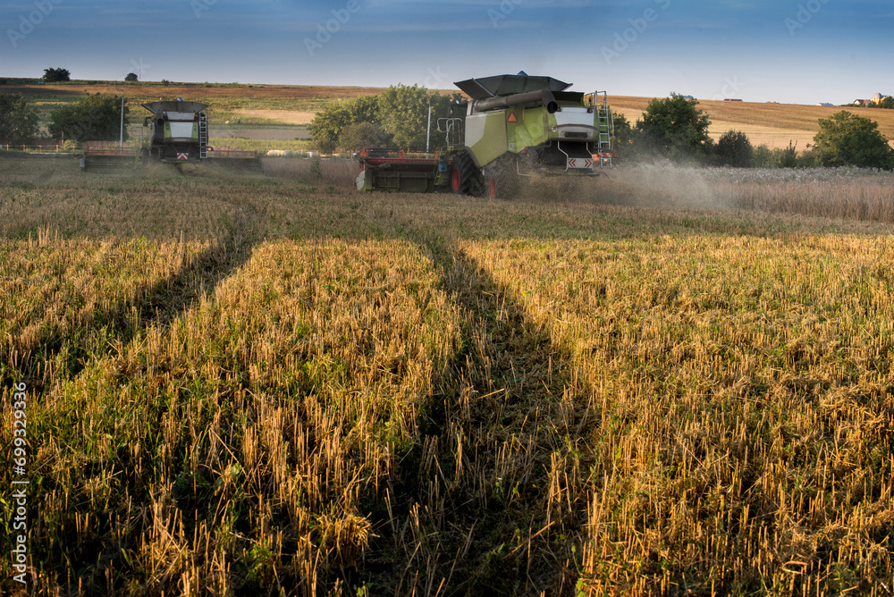 Fototapeta premium two combine harvesters, a field with footprint patterns on cut stubble after harvesting