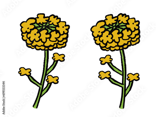 手書き風菜の花のイラストセット　2種