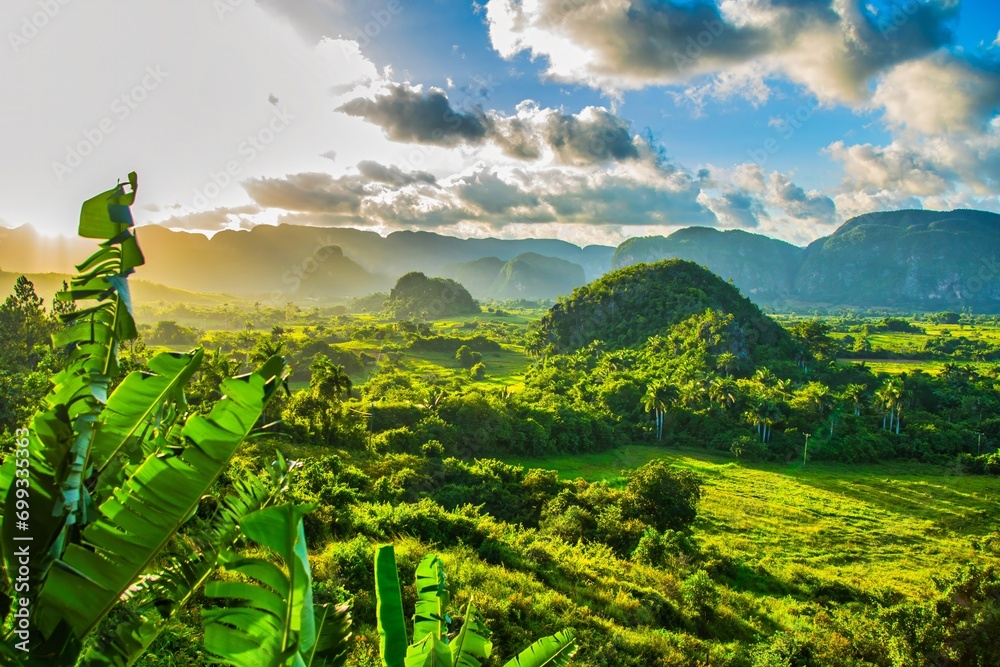 Vinales, Cuba - July 11 2018 : A view of the valley of Viales. Tropical and almost a rain forest. Located within a national park with the same name. - obrazy, fototapety, plakaty 