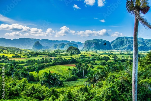 Vinales, Cuba - July 10 2018 : A view of the valley of Viales. Tropical and almost a rain forest. Located within a national park with the same name.