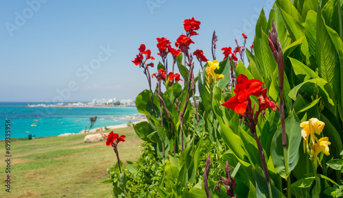 views of ayia napa in cyprus for background photo