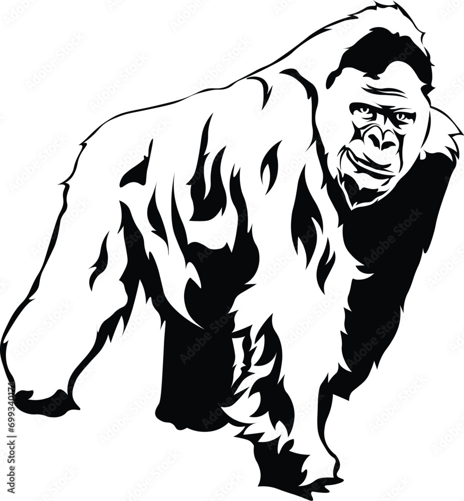 Cartoon Black and White Isolated Illustration Vector Of A Silverback Gorilla Cartoon Black and White Isolated Illustration Vector Of A Silverback Gorilla