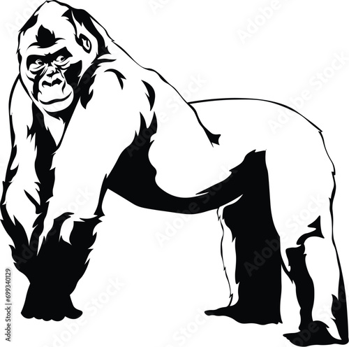 Cartoon Black and White Isolated Illustration Vector Of A Silverback Gorilla