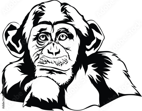 Cartoon Black and White Isolated Illustration Vector Of A Chimp Monkeys Face and Head