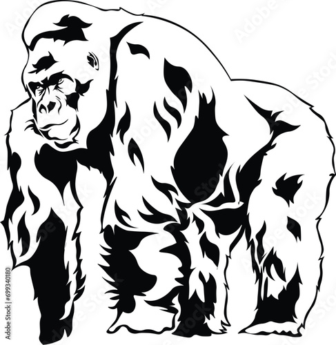 Cartoon Black and White Isolated Illustration Vector Of A Silverback Gorilla