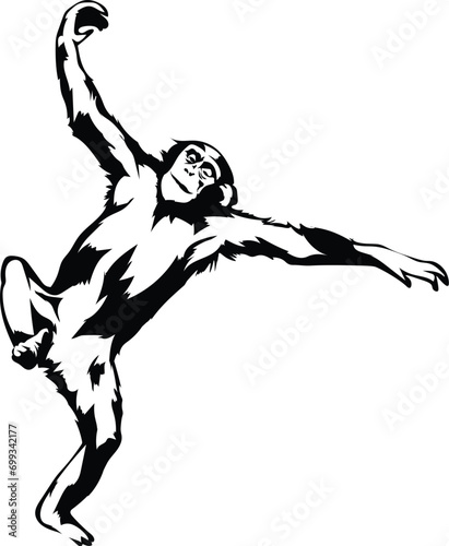 Cartoon Black and White Isolated Illustration Vector Of A Lemur Monkey Primate