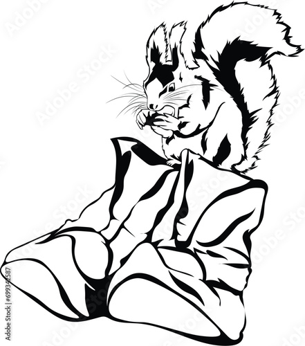 Cartoon Black and White Isolated Illustration Vector Of A Squirrel Standing on Boots