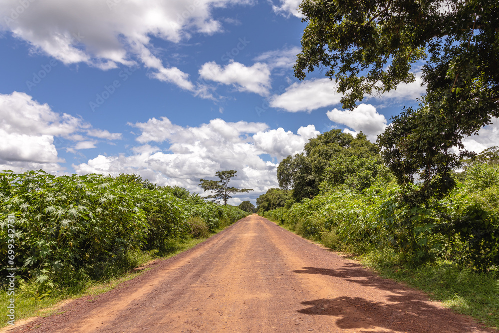 paisagem natural na cidade de Corumbá, região do Pantanal Sul, Estado do Mato Grosso do Sul, Brasil