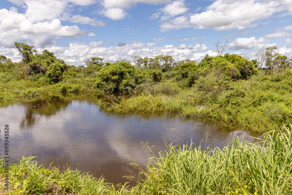 paisagem natural na cidade de Corumbá, região do Pantanal Sul, Estado do Mato Grosso do Sul, Brasil