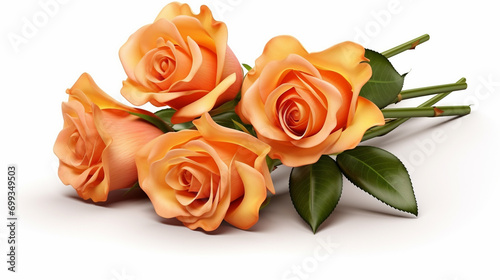 bouquet of roses HD 8K wallpaper Stock Photographic Image 