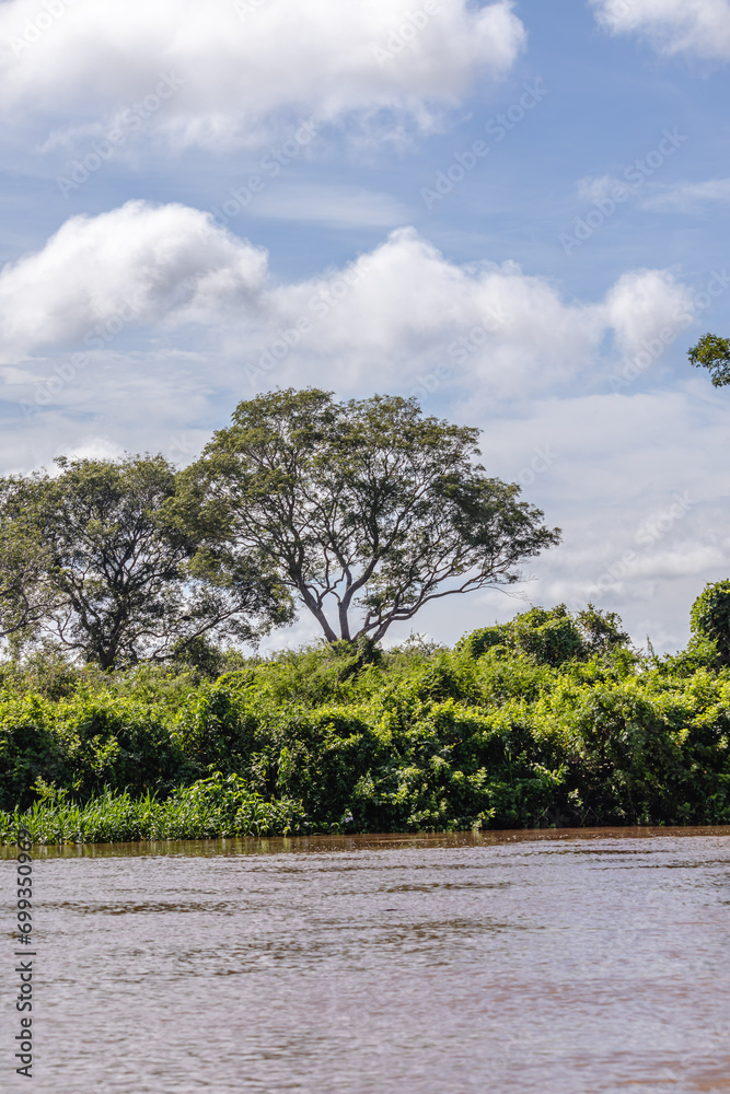 paisagem natural na cidade de Corumbá, região do Pantanal Sul, Estado do Mato Grosso do Sul, Brasil paisagem natural na cidade de Corumbá, região do Pantanal Sul, Estado do Mato Grosso do Sul, Brasil