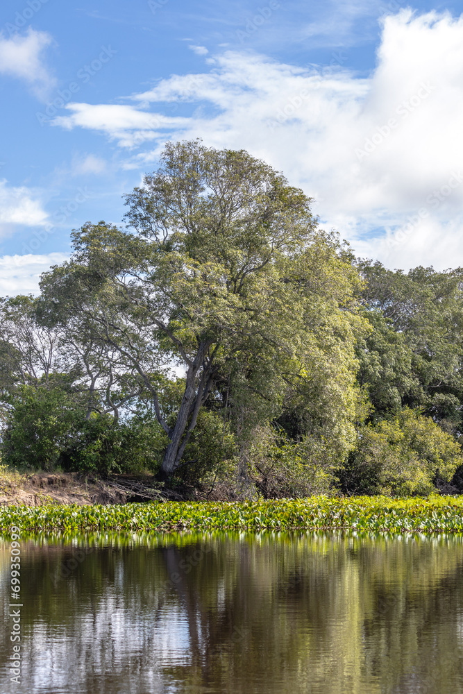 paisagem natural na cidade de Corumbá, região do Pantanal Sul, Estado do Mato Grosso do Sul, Brasil