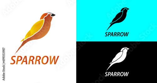 illustration of a feather, Sparrow logo