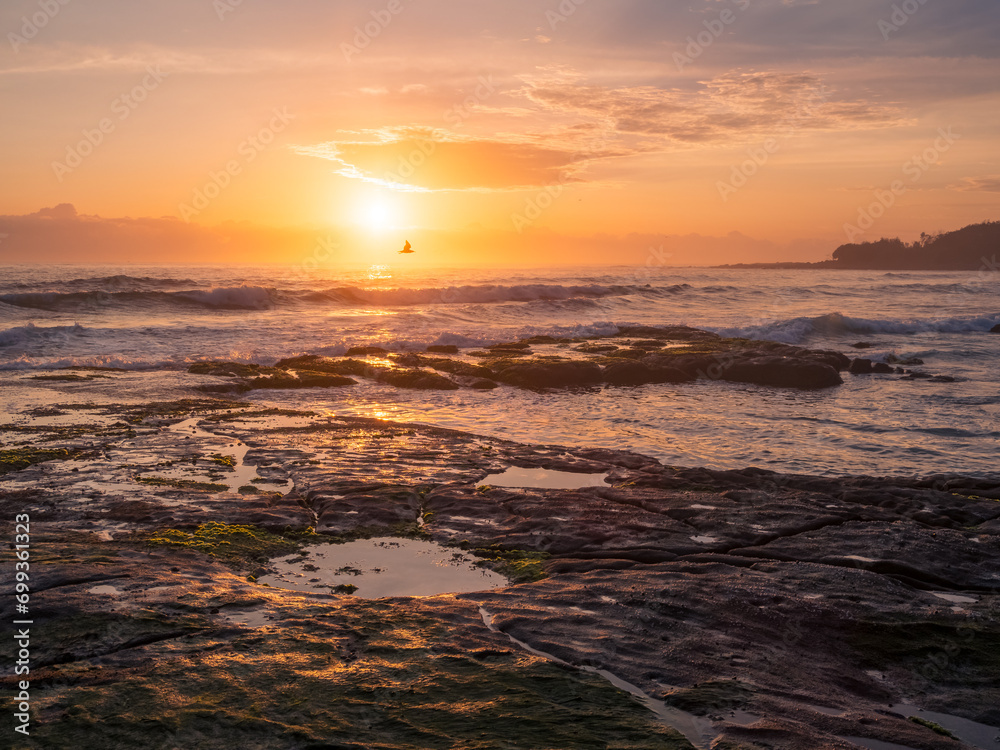 Obraz premium sunrise over the sea with a bird in flight