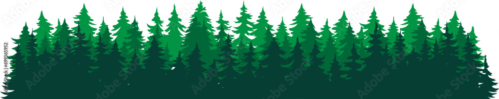 The Forest Vector Landscape View