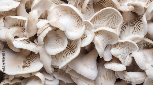 Oyster mushrooms on a dead beech trunk. Healthy food. Organic mushrooms. AI Generative photo