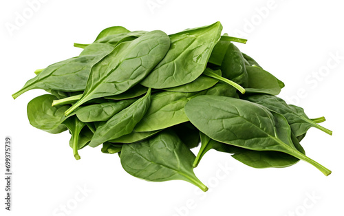 Organic Elegance Captivating Patterns of Lush Spinach Leaves Isolated on Transparent Background PNG.