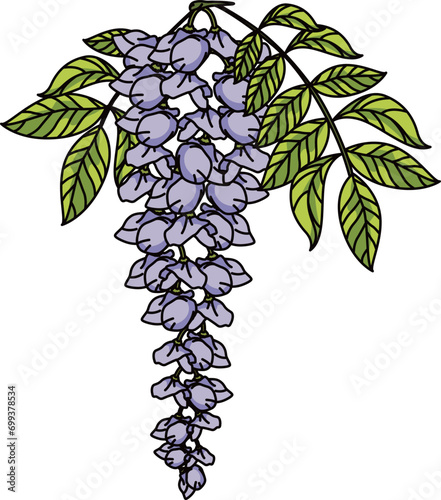 藤の花（wisteria）(eps)