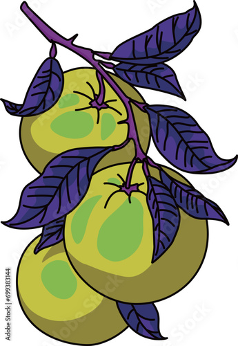 フルーツ（fruits）(eps)