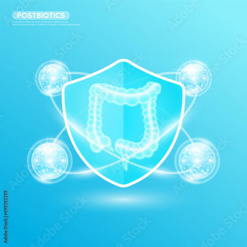Intestine organ in blue shield glass postbiotics blue surround. Good bacterial flora for stomach. Dietary supplements healthy nutrition. Biology probiotics. Health care immunity support. Vector.