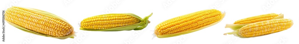 Collection of PNG. Corn isolated on a transparent background. Collection of PNG. Corn isolated on a transparent background.