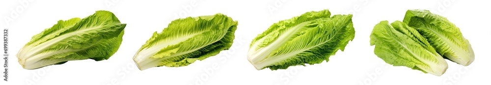 Collection of PNG. Romaine lettuce isolated on a transparent background. Collection of PNG. Romaine lettuce isolated on a transparent background.