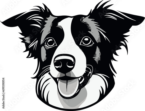 symbolic illustration of border collie dog breed, shepherd dog icon