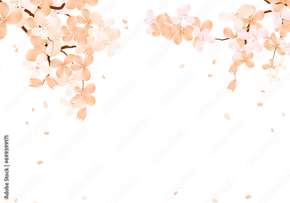 Sakura Bloom Frame, Cherry Blossom Background. Spring Flower Petals Falling Border. - obrazy, fototapety, plakaty 