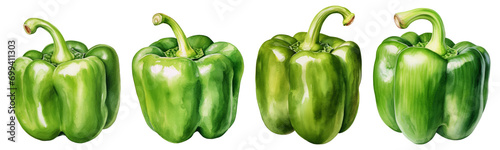 Green bell pepper png collection photo