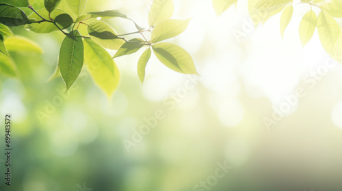 Sun-drenched green leaves create a luminous and refreshing atmosphere, highlighted by natural bokeh light effects.