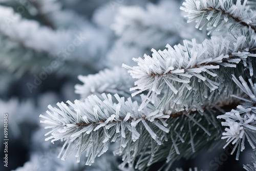 Close up of a frozen pine tree branch. Christmas wallpaper. New year background