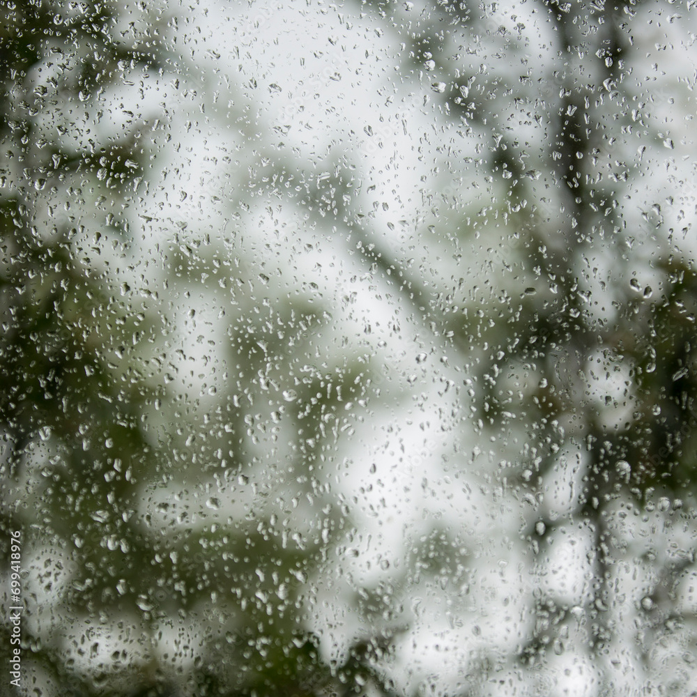 Raindrops on the window Raindrops on the window