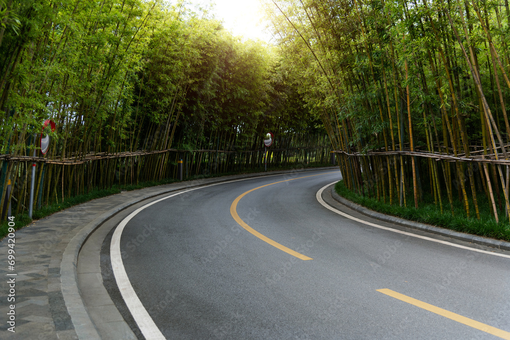 Obraz premium Bamboo forest on the roadside