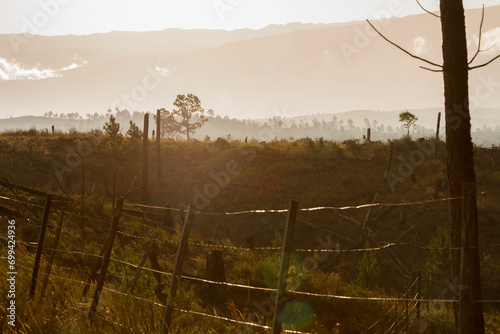 Alambrado de campo
