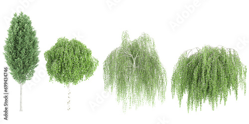 Jungle Carpinus betulus Frans Fontaine,Betula pendula Youngii trees shapes cutout 3d render