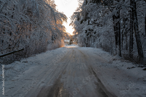 Narrow road through forest with branches covered in snow and frost