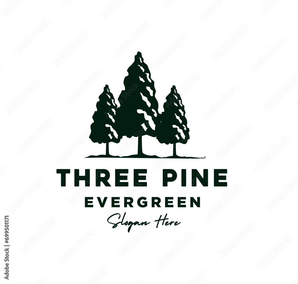 vintage retro spruce hemlock fir Conifer cedar pine larch  tree forest logo design