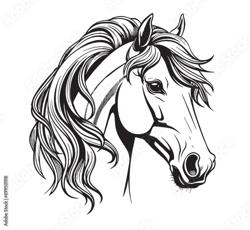 Horse head hand drawn sketch Vector illustration Farm animals