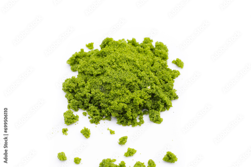 Fototapeta premium Wolffia globosa or swamp algae, water meal
