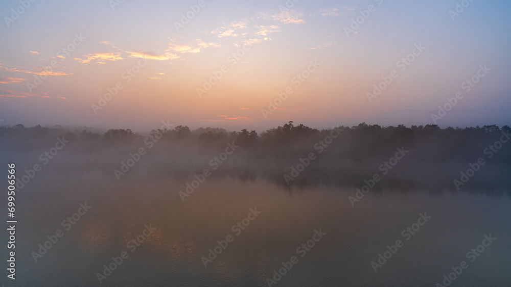 Scenic landscape view of mangrove forest and water at dawn in Sundarbans national park, a UNESCO World Heritage site, Bangladesh
