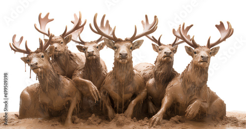 Deer mud wrestling isolated on white background photo