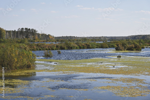 Swamps on the Yauza River in the Elk Island National Park photo