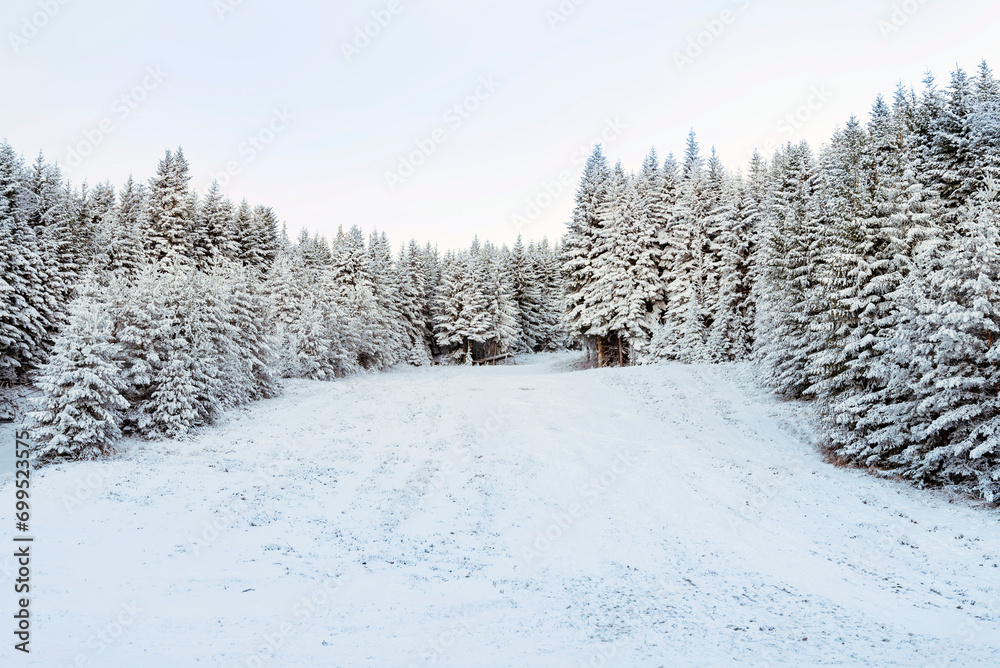 Beautiful Winter Mountain Landscape with Pine Trees Covered with Snow .Rila Mountain, Bulgaria Beautiful Winter Mountain Landscape with Pine Trees Covered with Snow .Rila Mountain, Bulgaria
