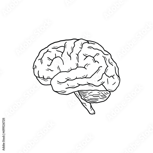 human brain vector illustration design