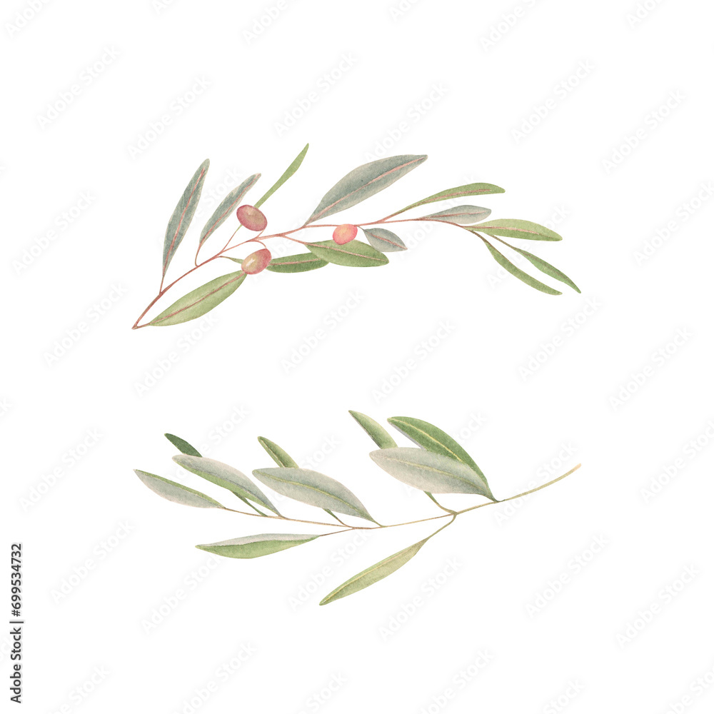 Obraz premium Watercolor frame with olive branches