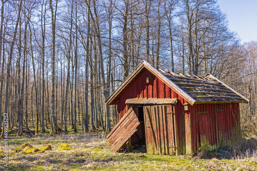 Old red wooden shed by a grove of trees in spring © Lars Johansson