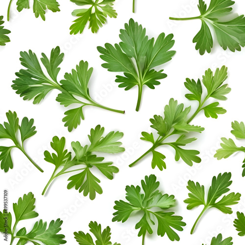 Vegetabale leaf background jpg style