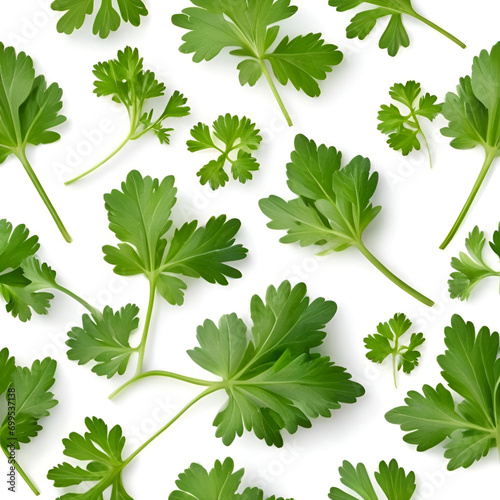 Vegetabale leaf background jpg style